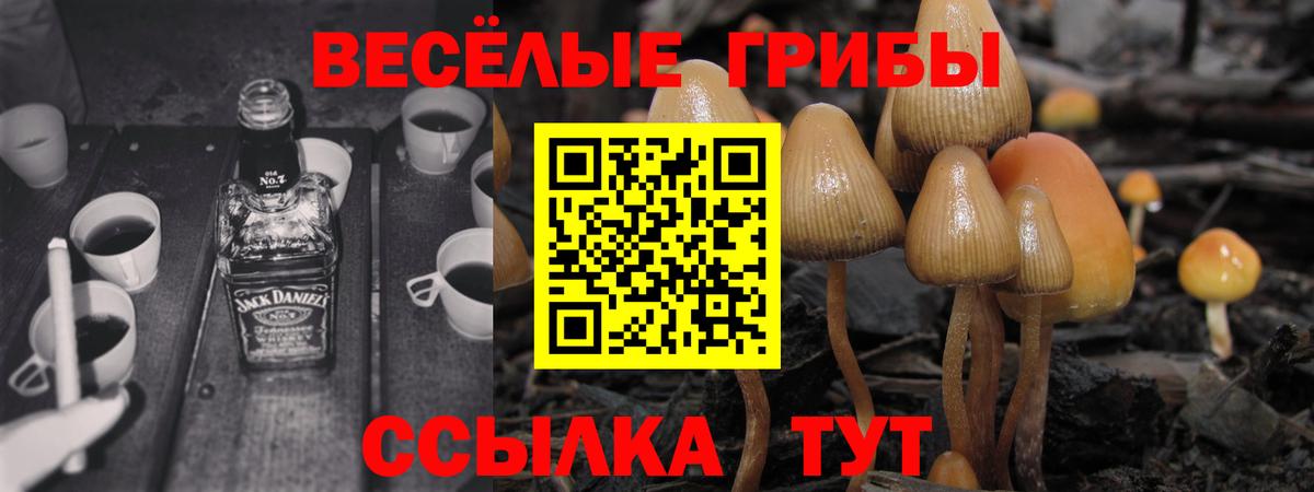 Кубинка  Галлюциногенные грибы GOLDEN TEACHER  купить закладку  Псилоцибиновые грибы Psilocybine cubensis  Вход с VPN 